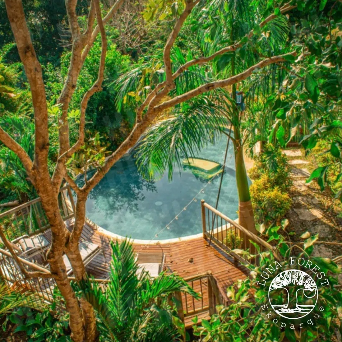 Fotografía de espacios de Luna Forest (Ecoparque), producida por HiMAGEN